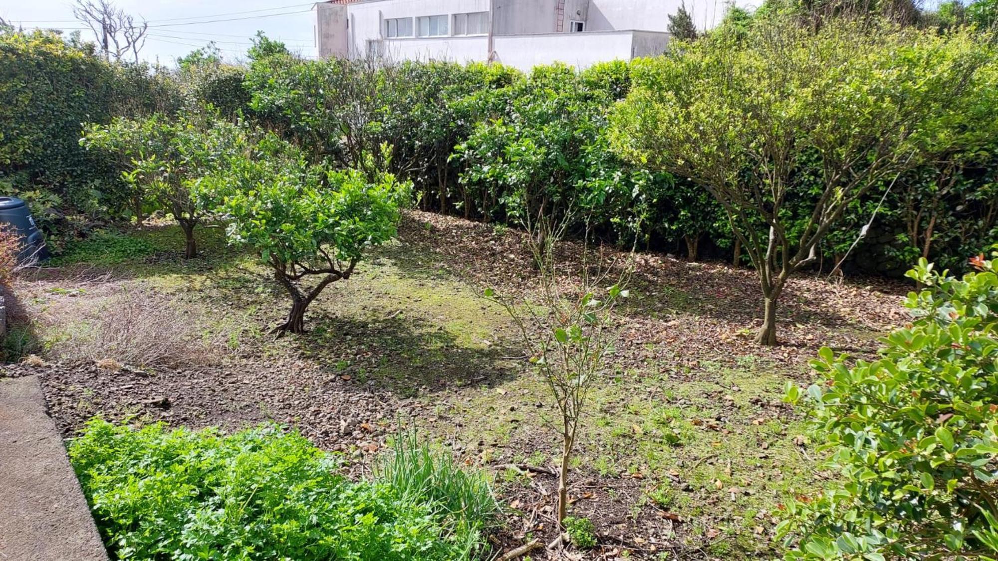 Retiro Das Camelias 1 Lajes das Flores Zewnętrze zdjęcie